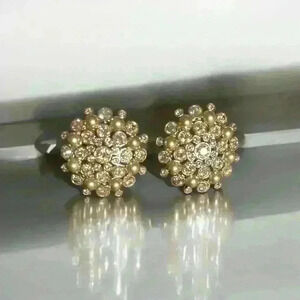 Givenchy Earrings